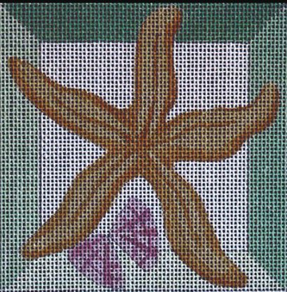 Starfish Shadowbox