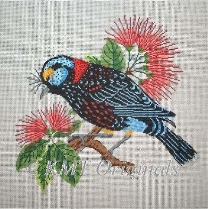 Kohekohe Hawaiian bird