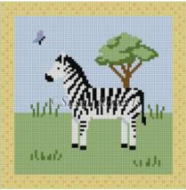 Zebra