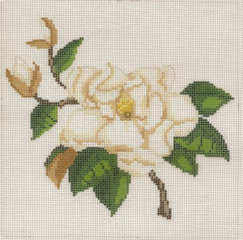 Small Magnolia