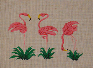 Flamingos