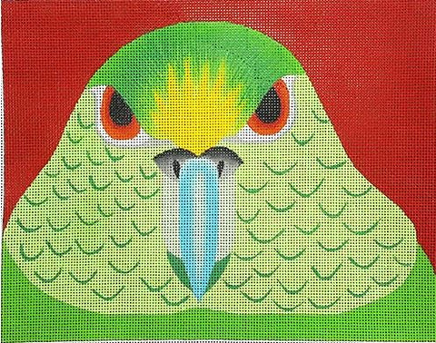 Parakeet 13M