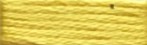 552A Canary Yellow Range - Needlepoint Inc Silk Skein