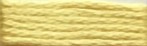 552 Canary Yellow Range - Needlepoint Inc Silk Skein