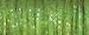 5535 Oregano - Kreinik #8 Braid