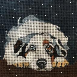 Snow Watch Aussie