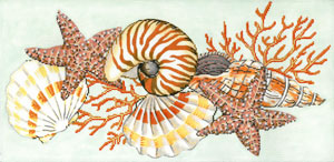Shellacious