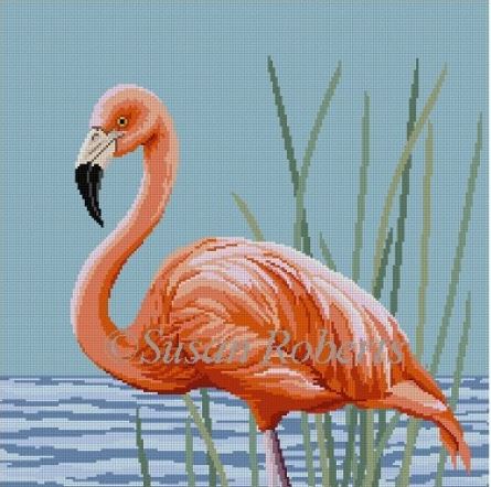 Flamingo