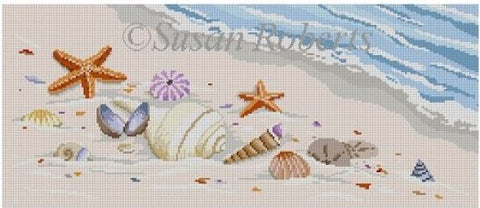 Sea Shells  