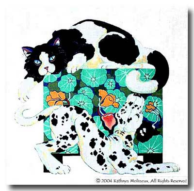 Yin & Yang