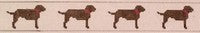 Chocolate Labs Belt