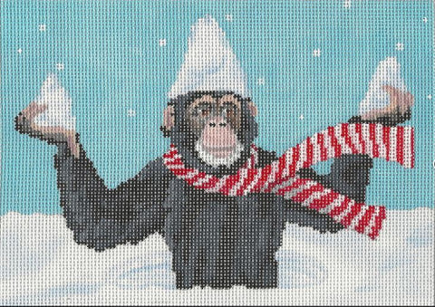 Snowy Chimp