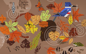 Fall Birds