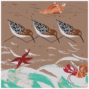 Beach Birds 
