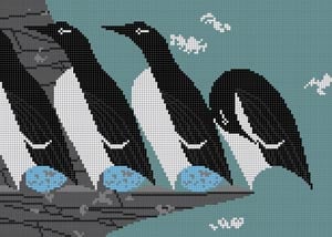 Murre
