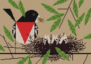 Rose-Breasted Grosbeak