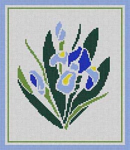 Iris