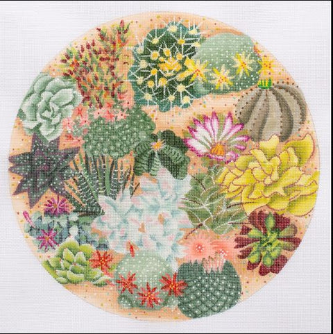 Succulent Garden