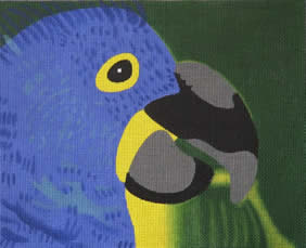 Small Parrot