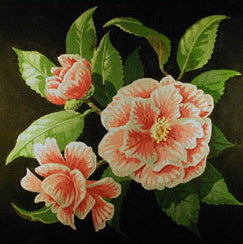 Peppermint Camellia