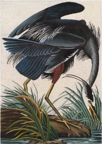 Blue Heron