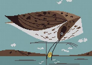 Eskimo Curlew