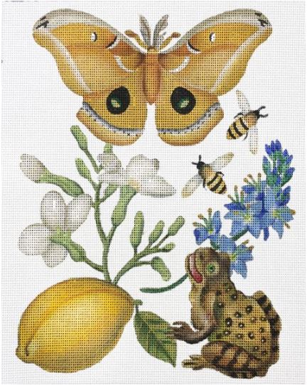 Butterfly Botanical with Frog