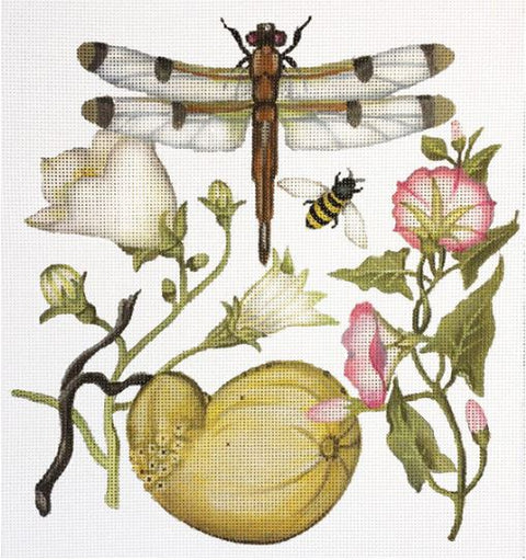 Dragonfly Botanical