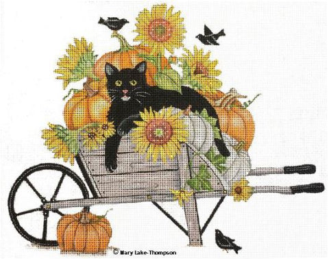 Black Cat in Wheel Barrow