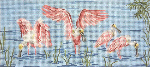 Roseate Spoonbills on Water
