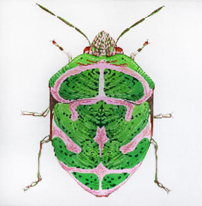 Big Bugs - Green and Pink
