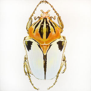 Big Bugs - White and Gold