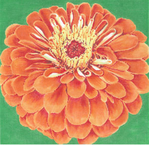 Orange Zinnia/Green Background