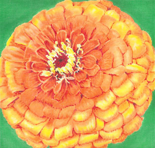 Quince Zinnia/Green Background