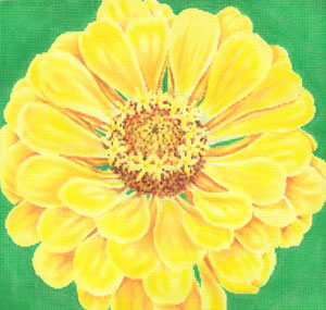 Canary Zinnia/Green Background