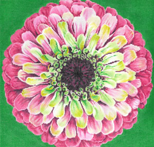 Grenadine Zinnia/Green Background