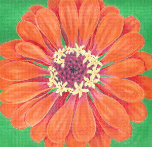 Dark Orange Zinnia/Green Background