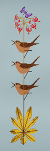 House Wren on a Shooting Star