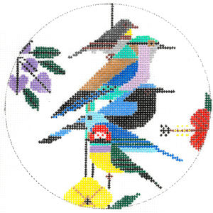 Rain Forest Birds