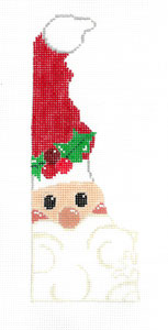 Delaware State Shaped Santa