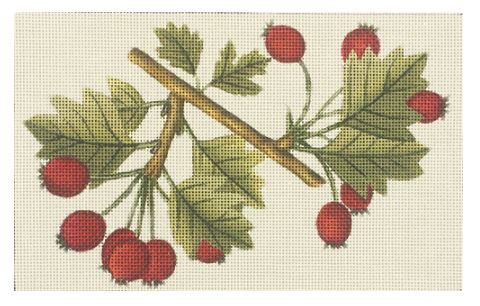 Berry Branch