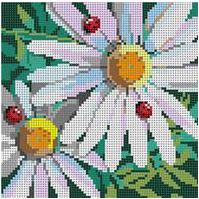 Daisies