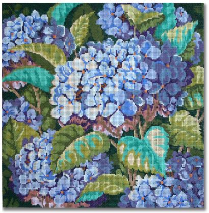 Blue Hydrangea