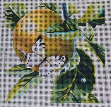 White Butterfly on Apple