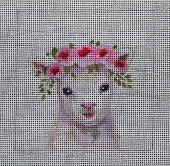 Insert - Baby Lamb