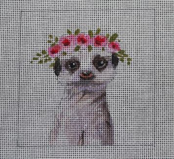 Insert - Baby Meercat