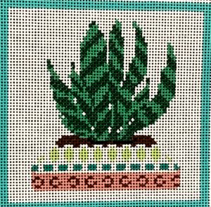 Cactus Series - Succulent