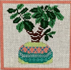 Cactus Series - Agave