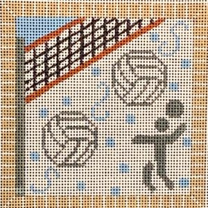 Volleyball Square 