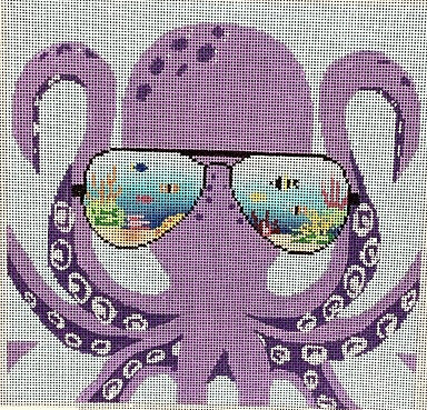Sunglasses Octopus